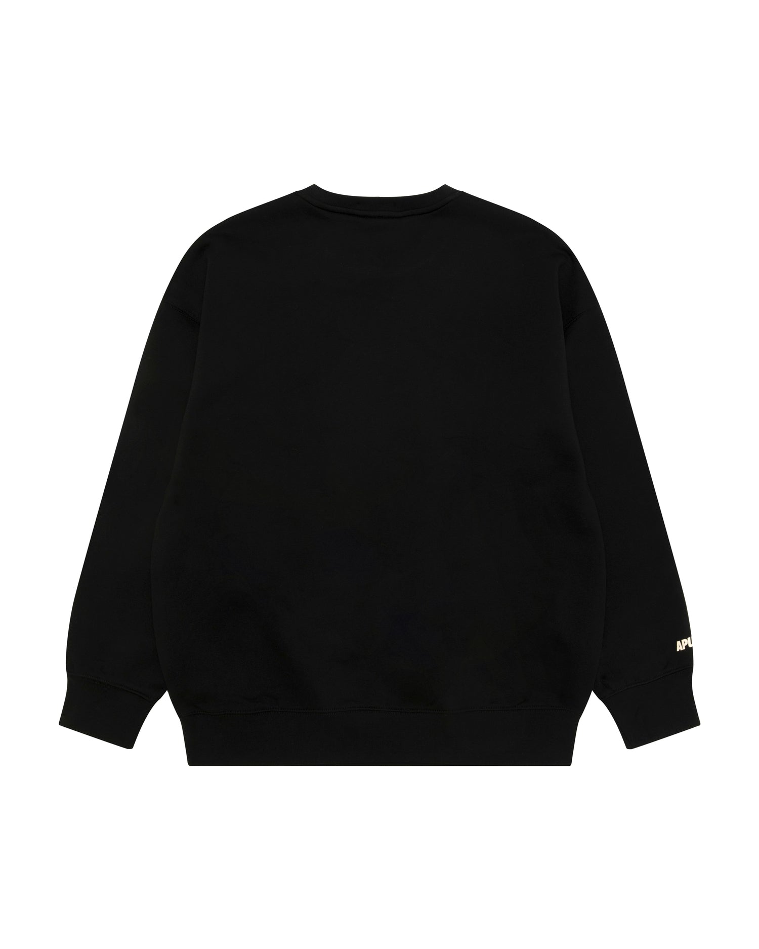 AAPE AAPEUNVS graphic crew neck sweatshirt | Aape official website